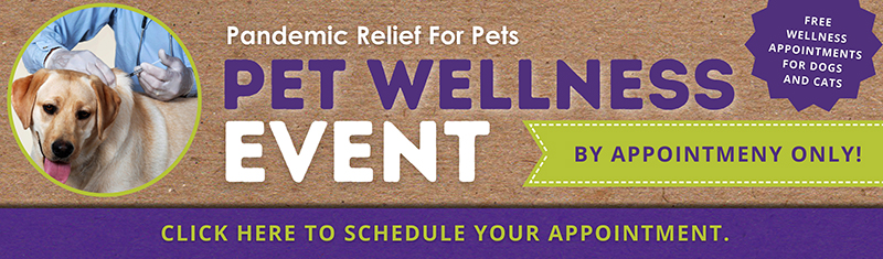 Pet Wellness Event