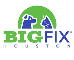 Big Fix Houston