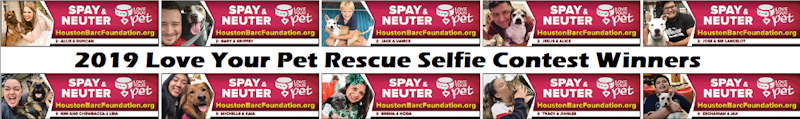 Rescue Pet Selfie Contest Winners