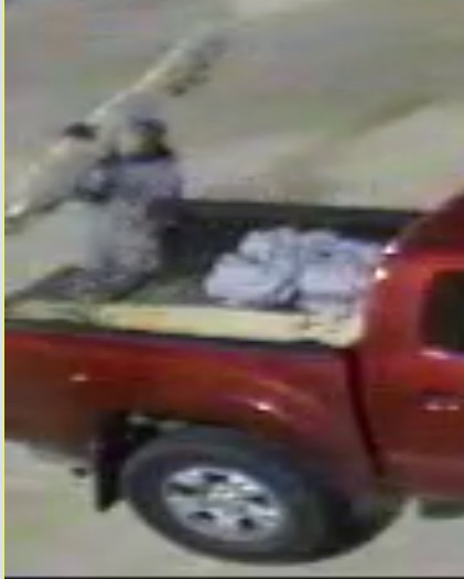 Surveillance photos of the suspects and their vehicle