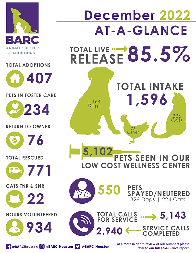 At A Glance Current Month Statistics