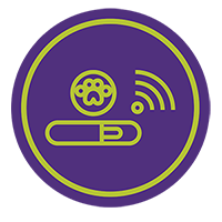Microchip