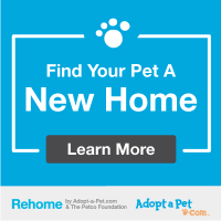 Re-Home Your Pet Badge