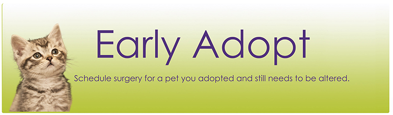 Early Adopt Graphic