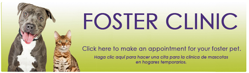 Foster Clinic Appointments