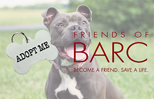 Friends of BARC Website
