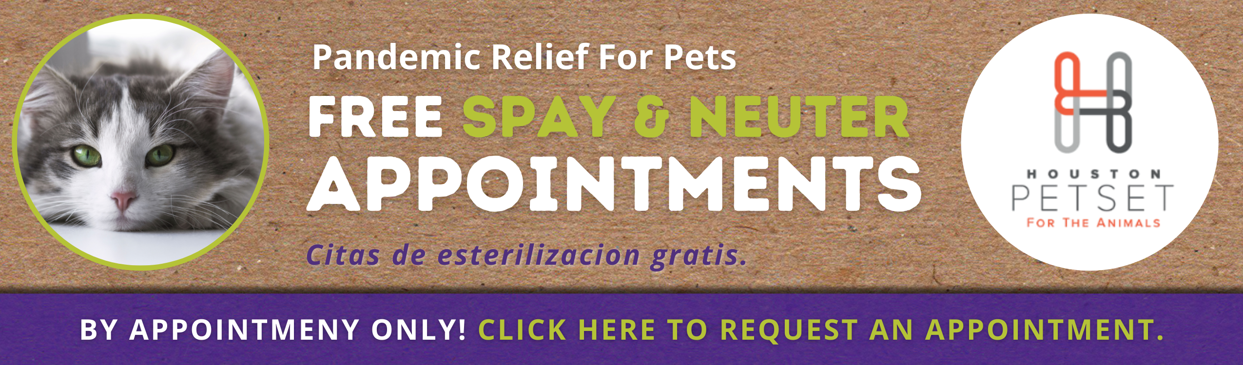 Free Spay and Neuter Services
