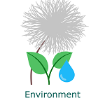 Environment