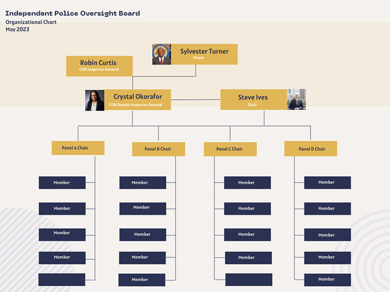 IPOB Board Structure