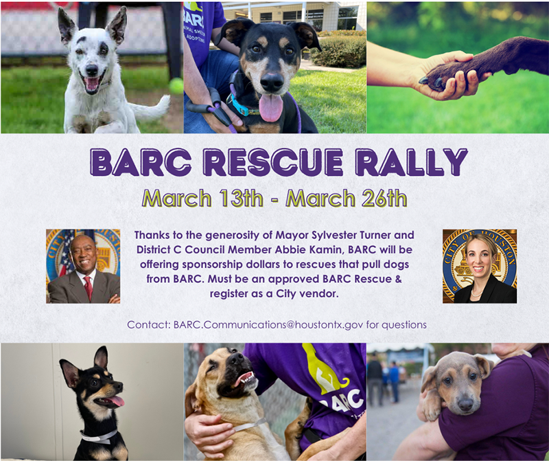 BARC Rescue Rally Graphic