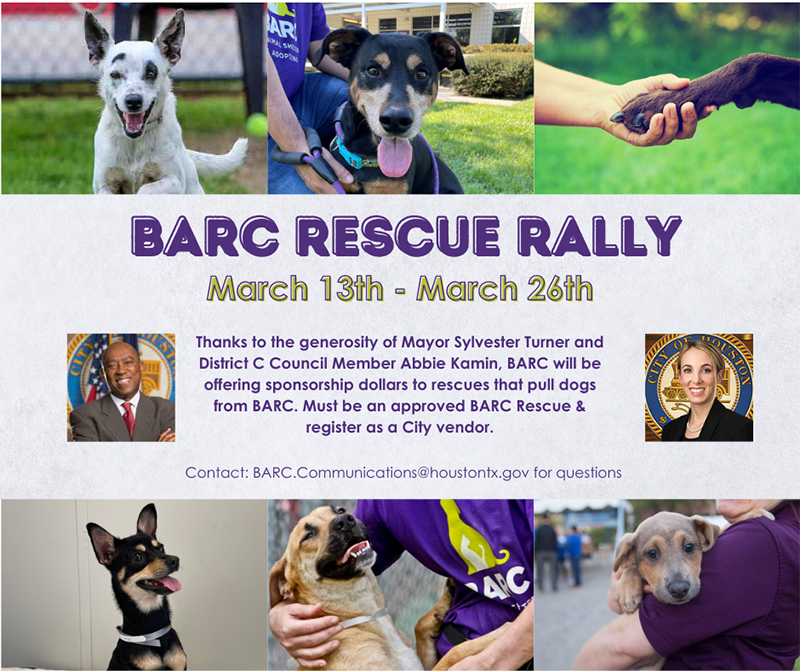 Rbxadder Get Here Rbx is fundraising for International Animal Rescue