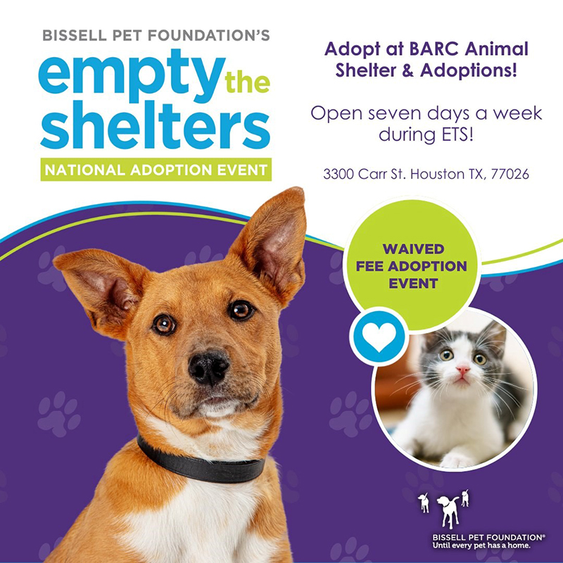 Empty the Shelters Graphic