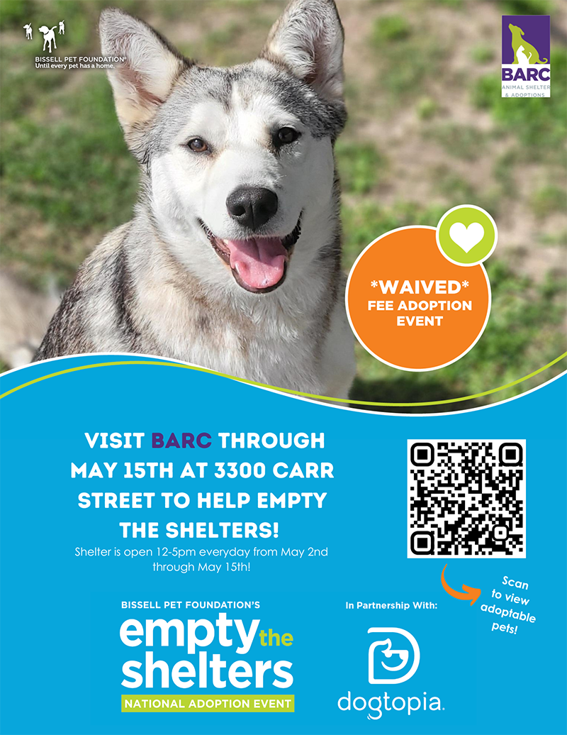 Empty the Shelters