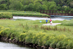 Brays Bayou