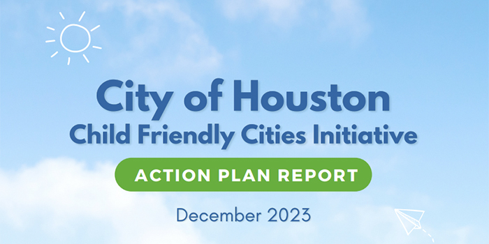 CFCI Action Plan Report