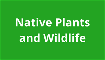 Native Plants and Wildlife