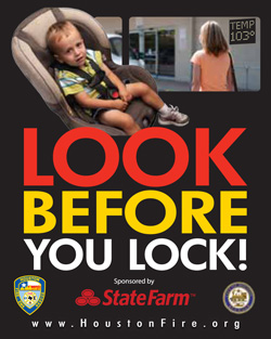 Look Before You Lock Poster