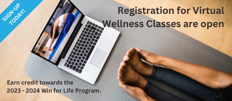 Virtual Wellness Classes image