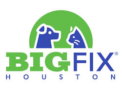 Big Fix Houston Logo