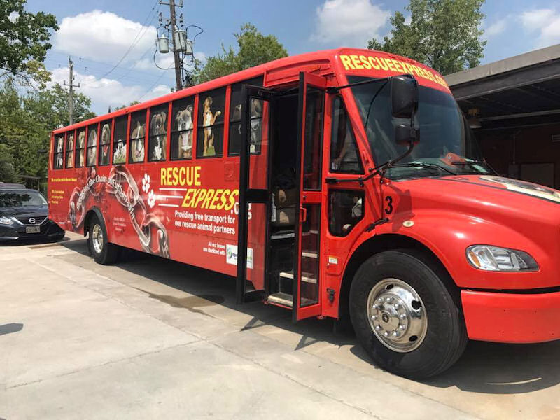 Houston Pet Set Transport Bus