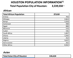 Houston Population Detailed Etnicity