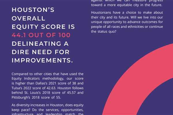 Houston's Equity Score