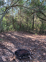 LHWP Primitive