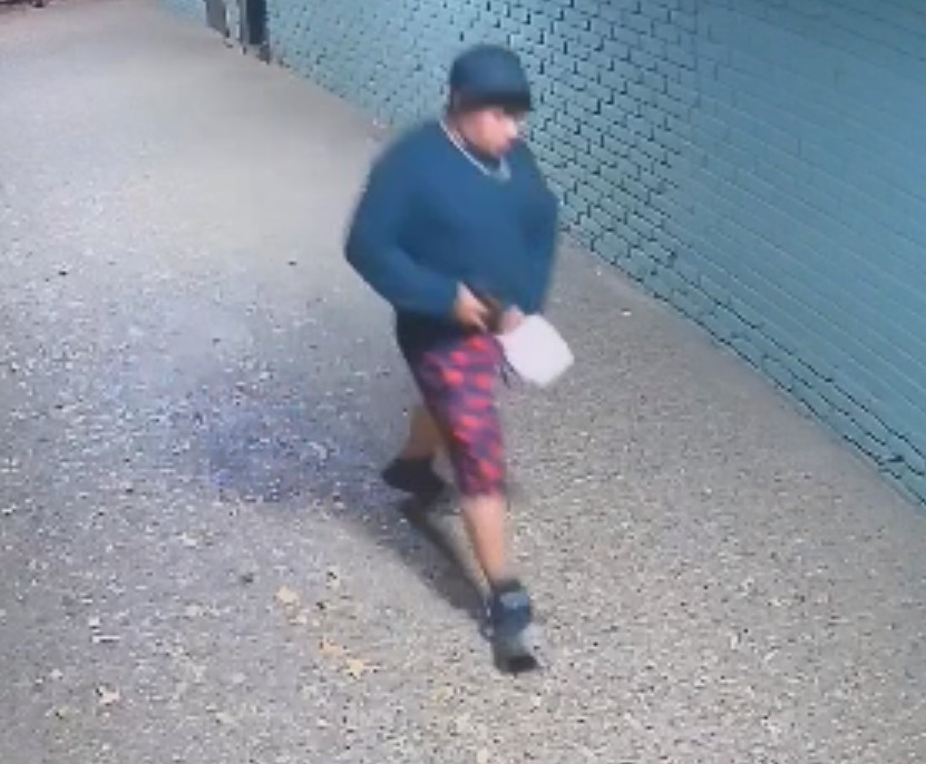 Wanted Suspect 