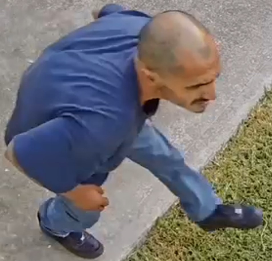wanted suspect