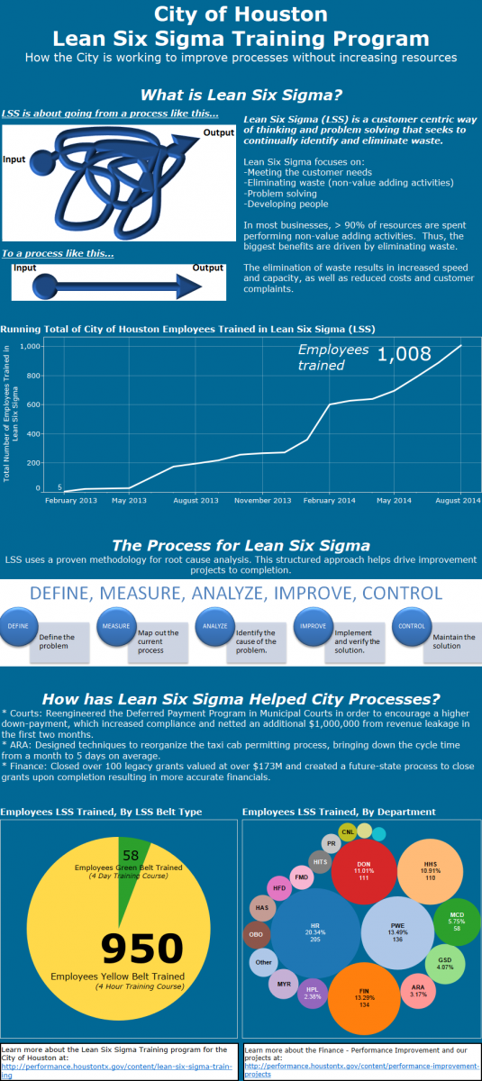 Lean Six Sigma Infographic